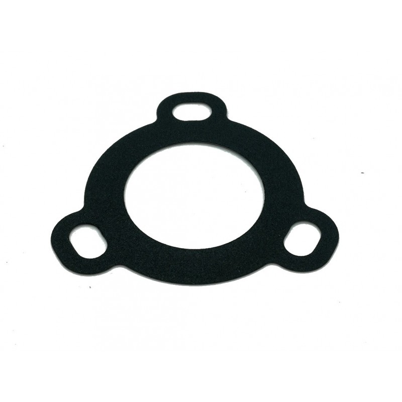 Gasket, water outlet Suzuki Grand Vitara Ignis Jimny 17699-69G00