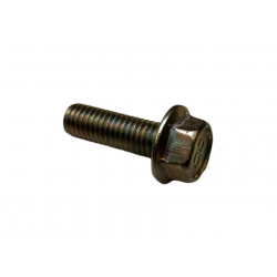 Suzuki door hinge bolt...