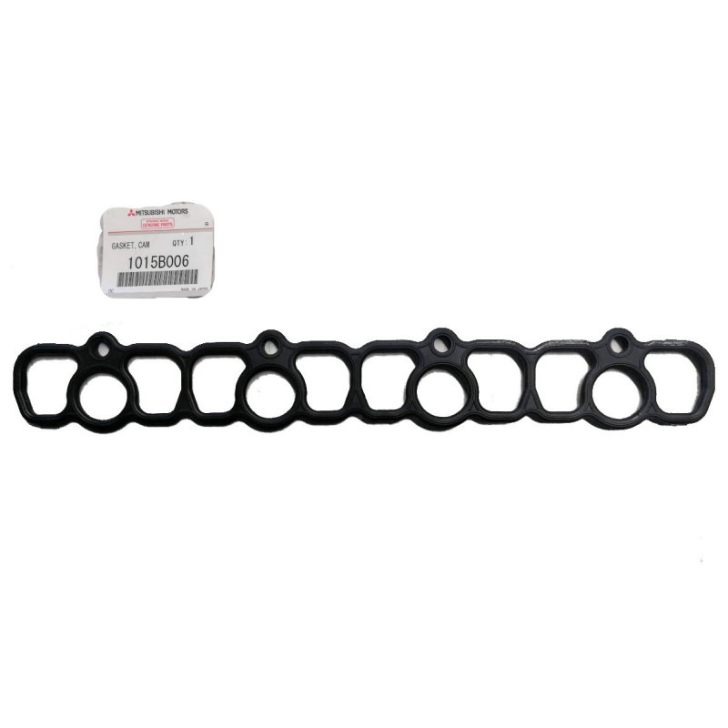 Timing Cover Gasket Pinin 1015B006